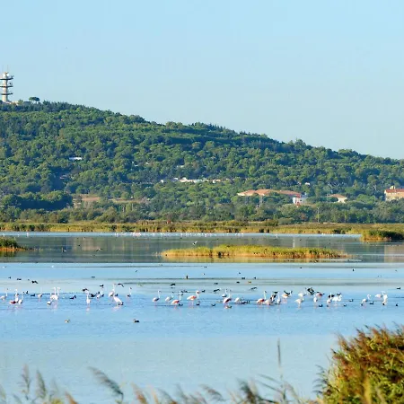 Primavera-2 By Interhome Lejlighed *